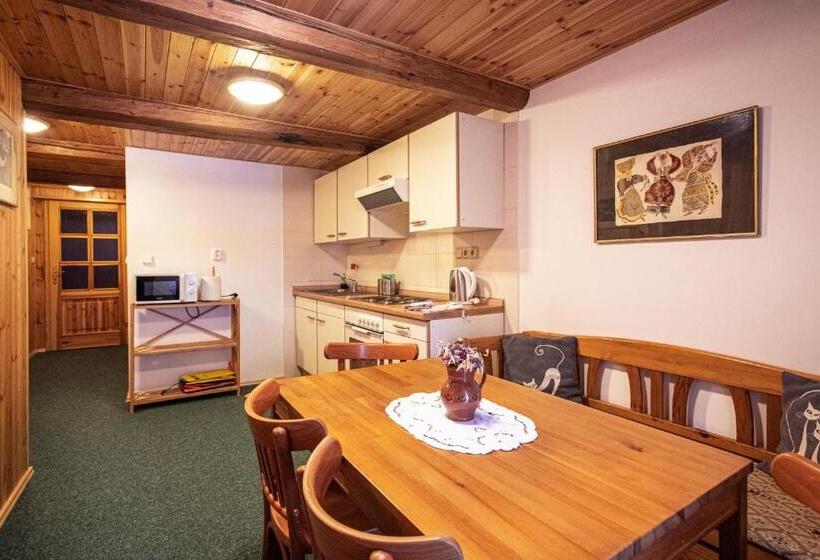 带2个卧室的公寓, Penzion Statek U Rajtrů