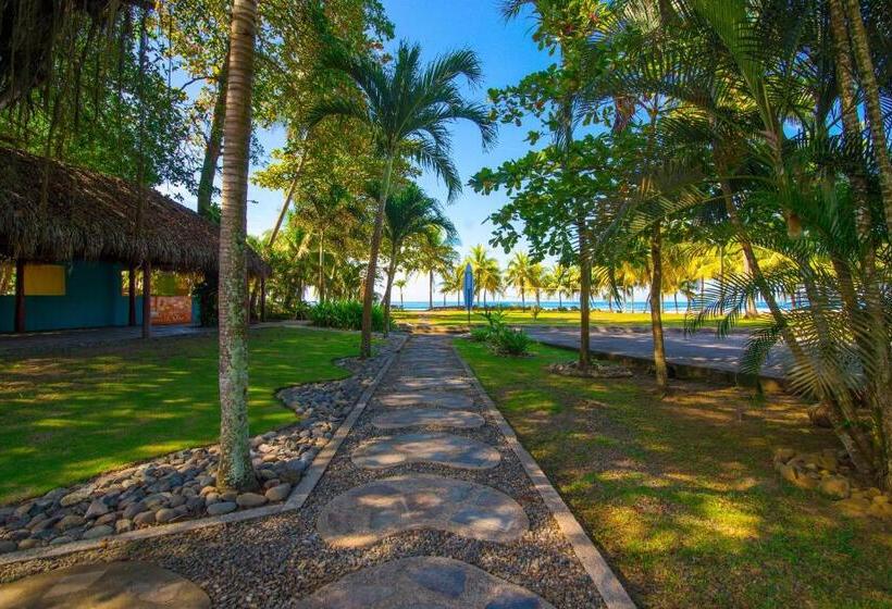 Номер Стандарт, Beach Break Resort