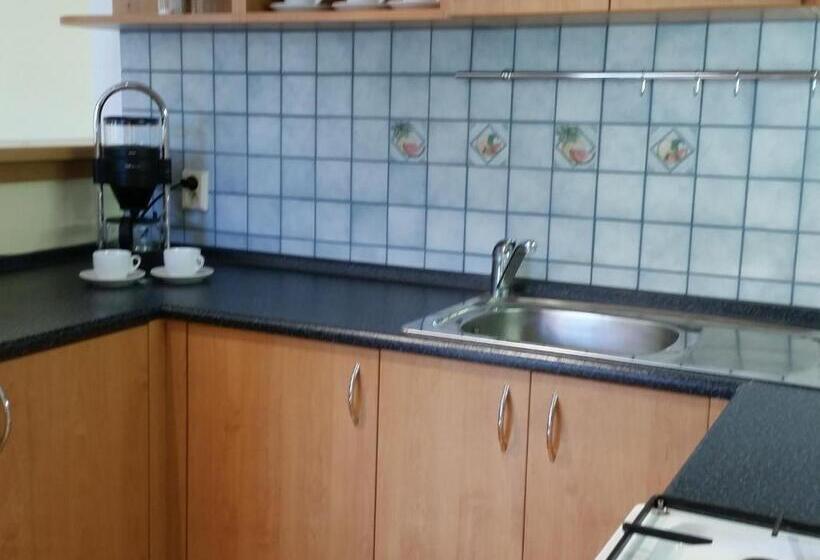 Апартаменты 1 Спальня, Apartmány Gryf Harrachov