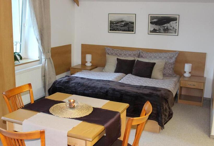 Апартаменты 1 Спальня с Видом, Apartmány Gryf Harrachov