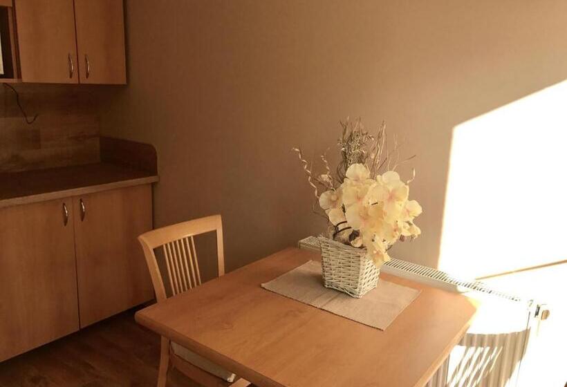 Апартаменты 1 Спальня с Террасой, Apartmány Gryf Harrachov
