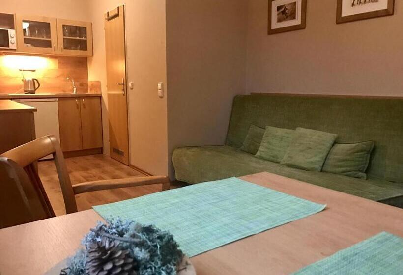 Апартаменты 1 Спальня, Apartmány Gryf Harrachov