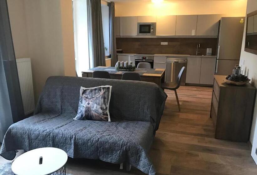 Апартаменты 1 Спальня, Apartmány Gryf Harrachov
