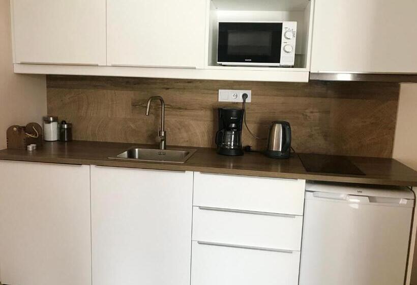 Апартаменты 1 Спальня с Видом, Apartmány Gryf Harrachov