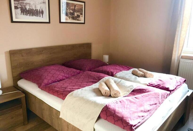 Апартаменты 1 Спальня с Видом, Apartmány Gryf Harrachov