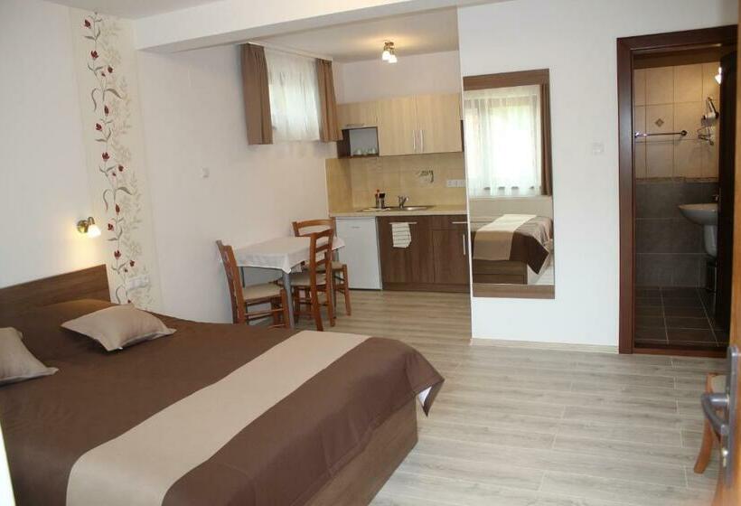Студия Стандарт, Casa 77 Praid