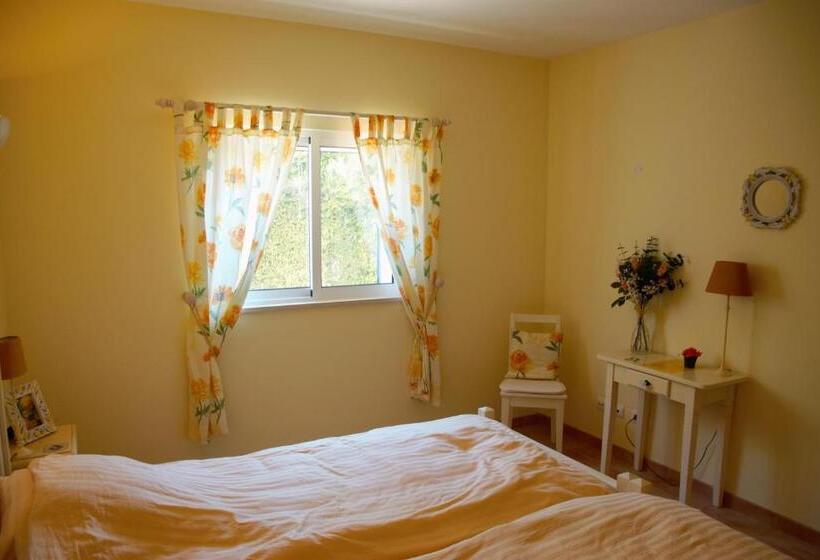 اتاق لوکس, Vila Florina