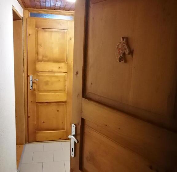 استودیو خانوادگی, Ekoturizem Viženčar