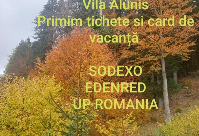 샬레, Vila Alunis