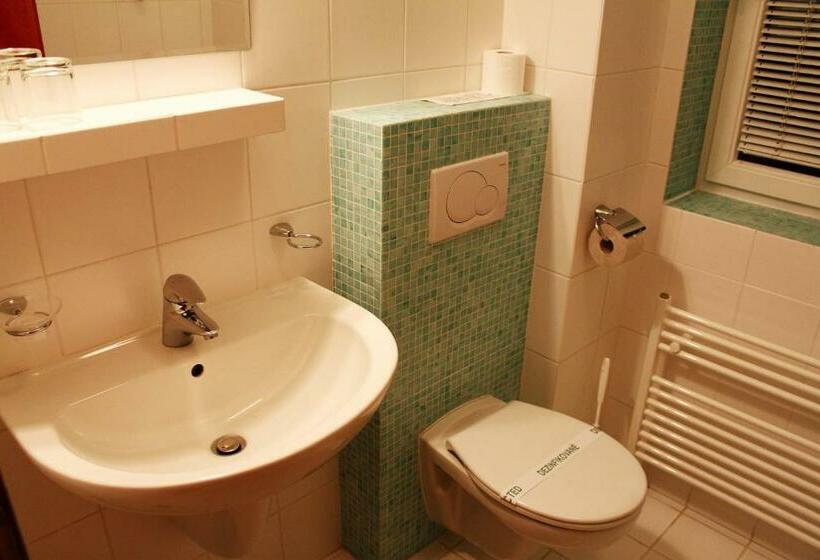 Номер бизнес-класса, Horský Hotel Remata