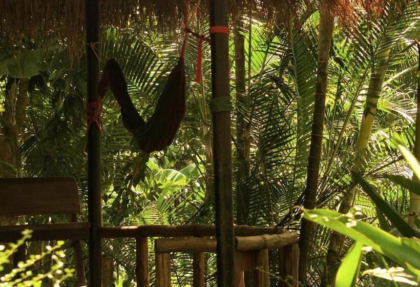 Бунгало Стандарт, Oasis Koh Chang