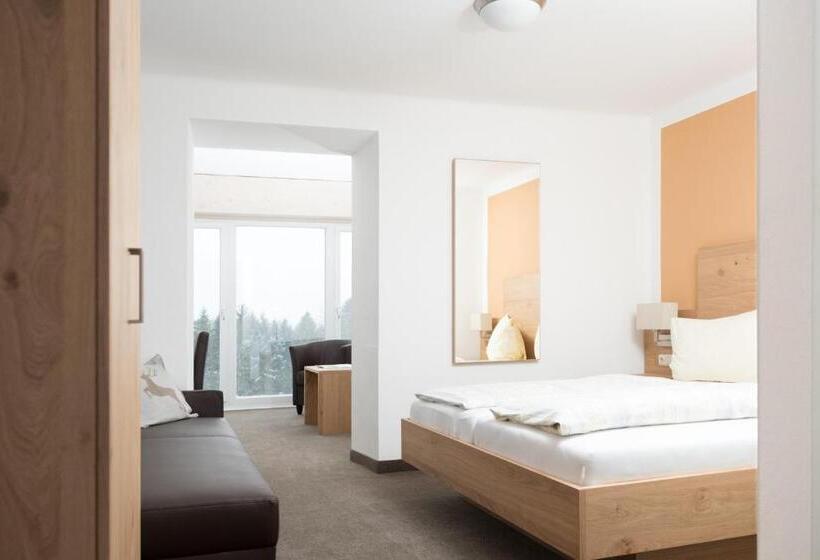 Номер Superior с Видом, Pension Irlingerhof