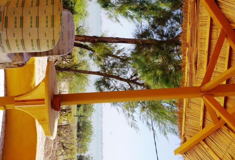 标准房带园景, Diamarek Hotel Sur La Plage