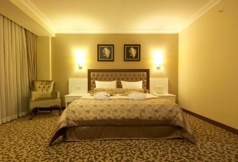 Номер Стандарт, Safran Thermal Resort