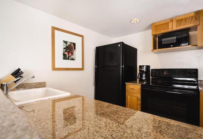 اتاق استاندارد, Waikiki Marina Resort At The Ilikai