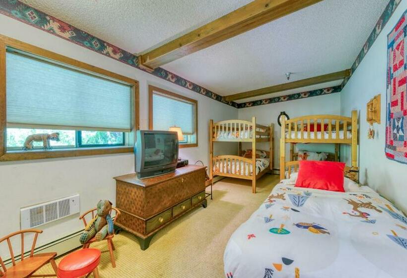Апартаменты 3 Спальни, Skiway Lodge At Thunderhead