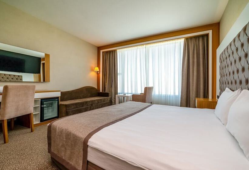Номер Стандарт Индивидуальный, Armas Termal Resort