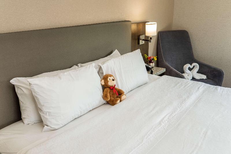 اتاق استاندارد با تخت بزرگ, Hampton Inn San Francisco Downtown/convention Center