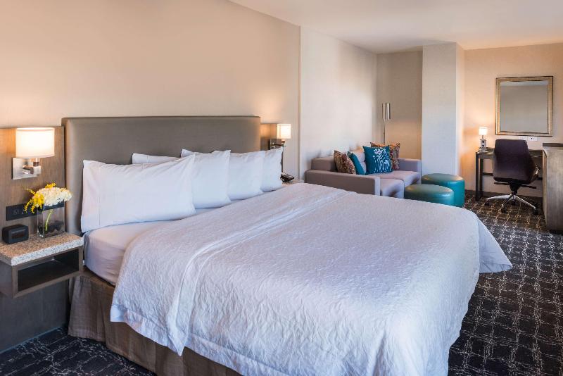 Стандартный Номер Кровать Кинг, Hilton Garden Inn Rochester Downtown, Ny