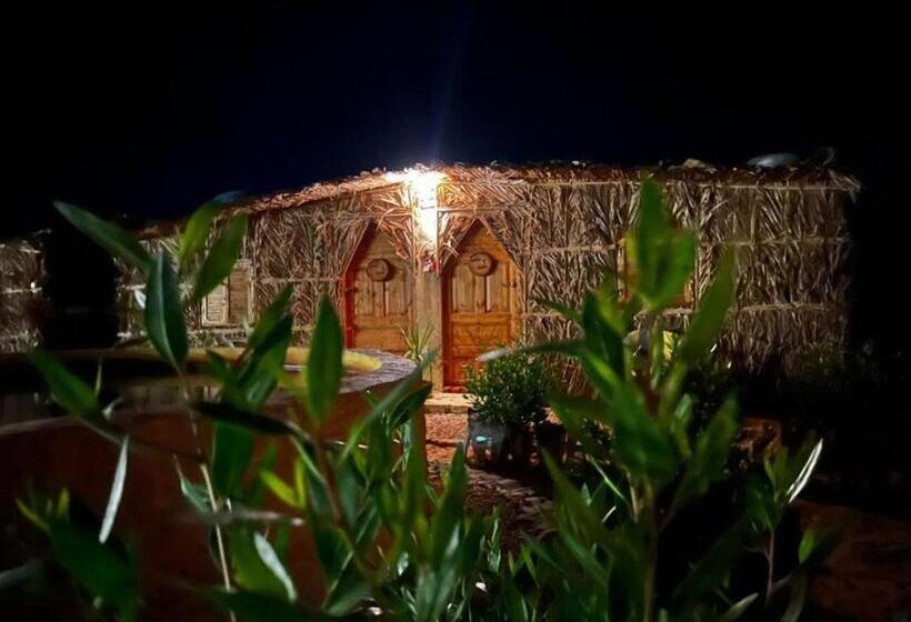 اتاق اکونومی, Tijan Siwa