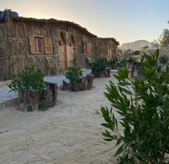 اتاق لوکس, Tijan Siwa