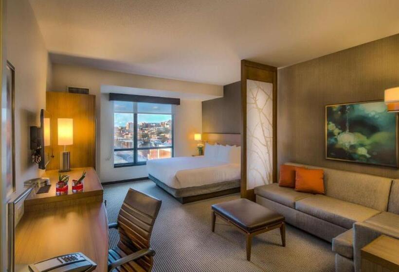 キングサイズベッドのスタンダードルーム, Hyatt Place Baltimore Inner Harbor
