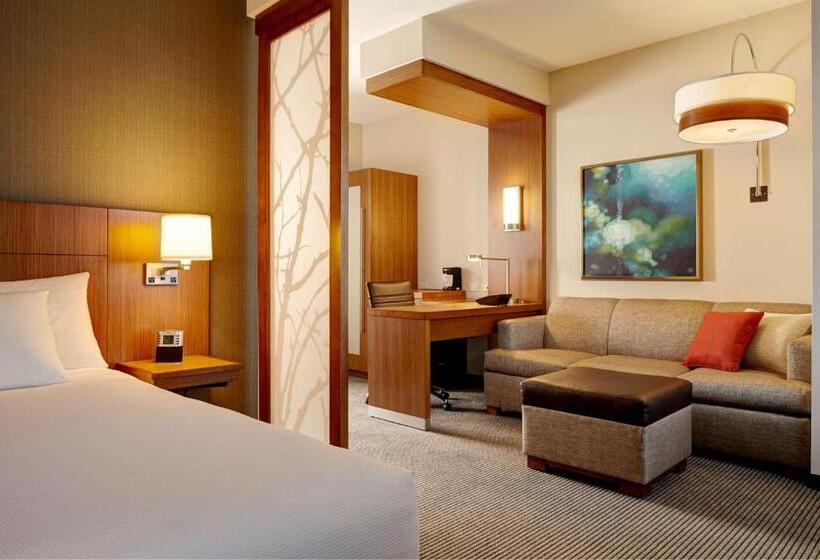 身障者適用キングサイズベッドルーム, Hyatt Place Baltimore Inner Harbor