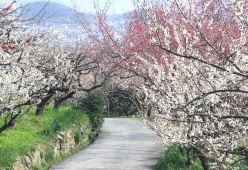 Студия Стандарт, Ako Onsen Ako Park   Vacation Stay 21613v