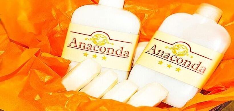 스탠다드 룸, Anaconda