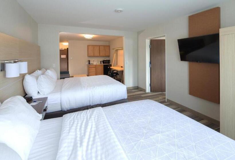 Номер Стандарт, Holiday Inn Express Rochester Hills, An Ihg