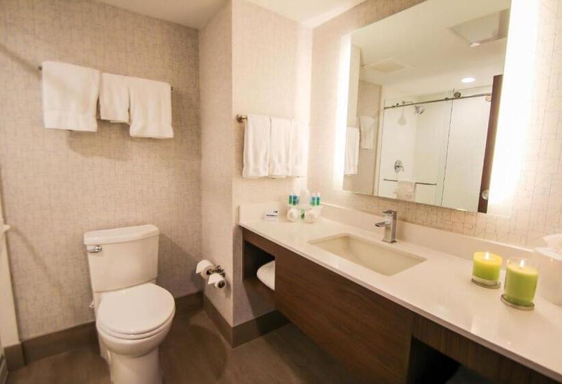 标准间, Holiday Inn Express & Suites Miami Airport East, An Ihg