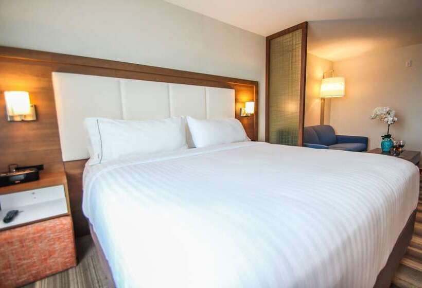 套房, Holiday Inn Express & Suites Miami Airport East, An Ihg