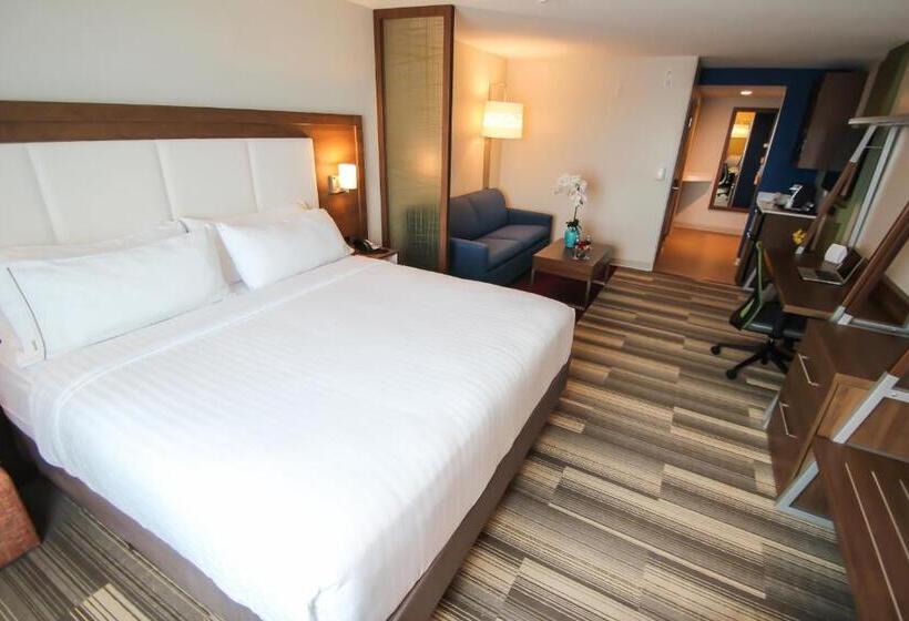 套房, Holiday Inn Express & Suites Miami Airport East, An Ihg