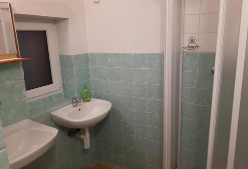 Дом 1 Спальня, Pod Sněžníkem