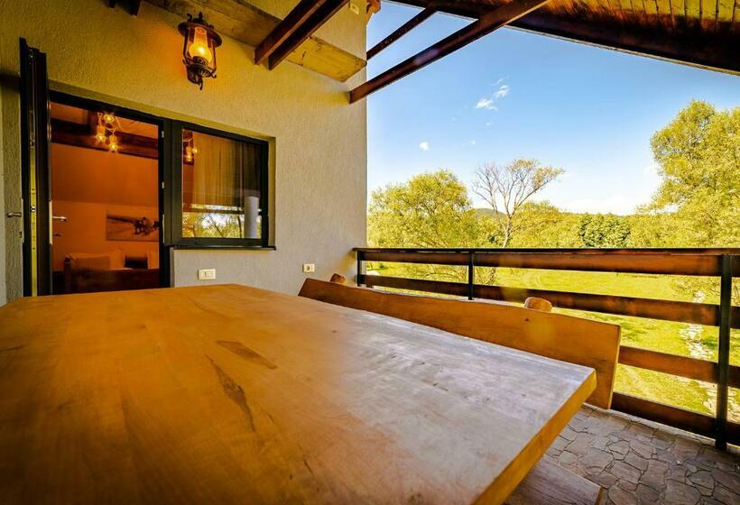 آپارتمان 1 خوابه با بالکن, Casa Nitu