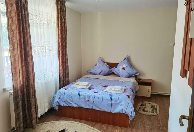 标准间, Casa Girbacea