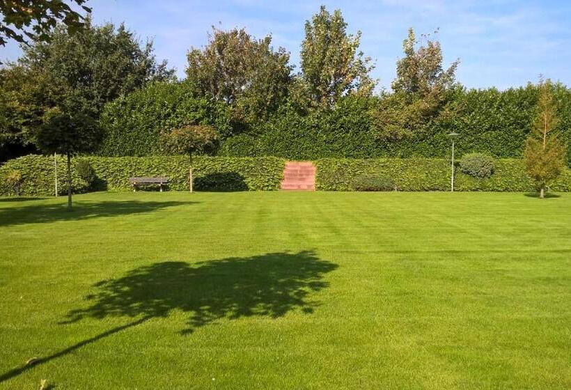 اتاق استاندارد, De Zolder