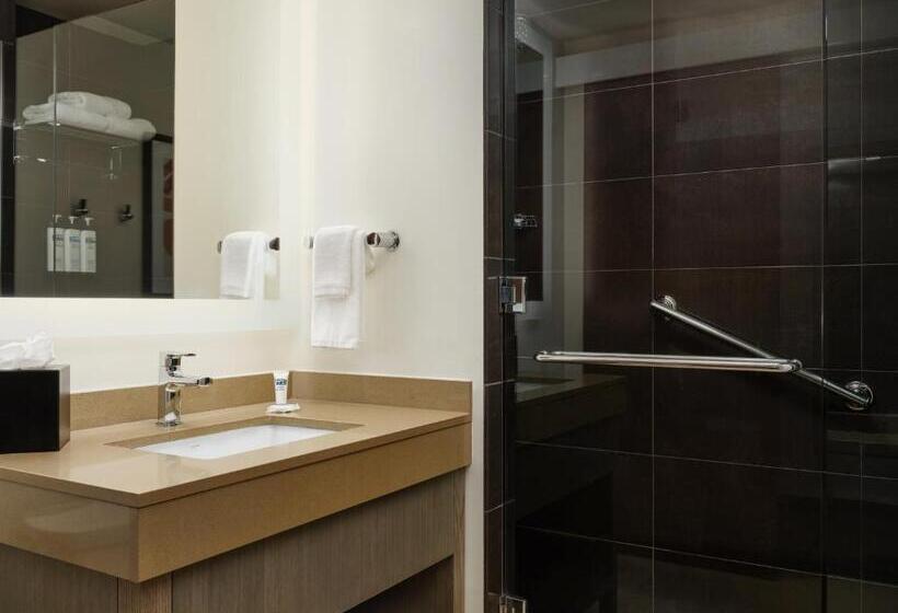 Номер Стандарт, Hyatt House Atlanta Downtown