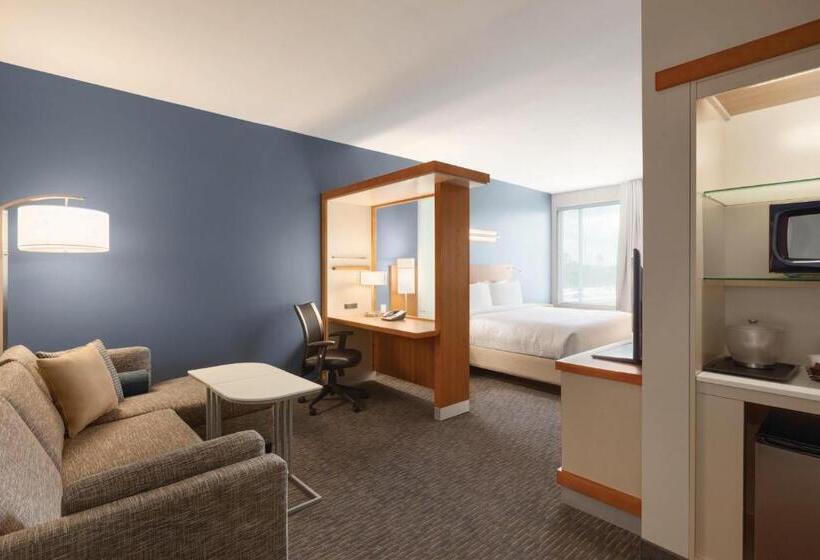 带大床的标准工作室, Springhill Suites By Marriott Houston Northwest
