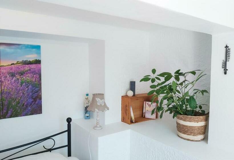 스탠다드 룸 풀장 전망, Etoilevacances Chambres D Hotes Campagne En Lavande