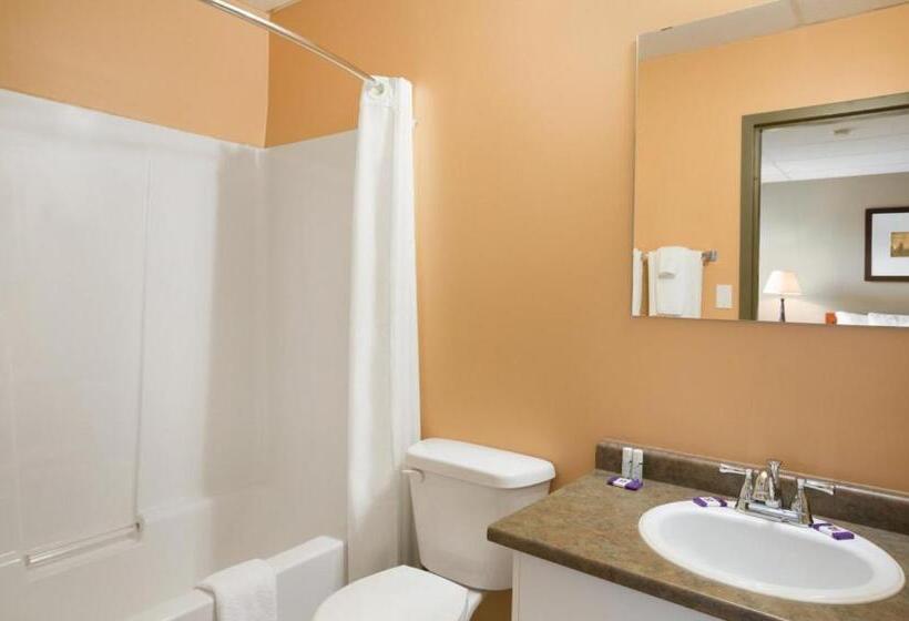 Номер Стандарт 2 Двуспальные Кровати, Central Suite