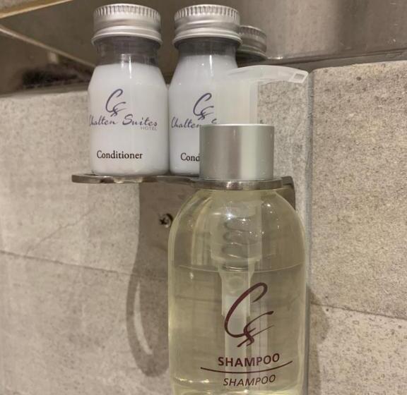 스탠다드 룸, Chalten Suites