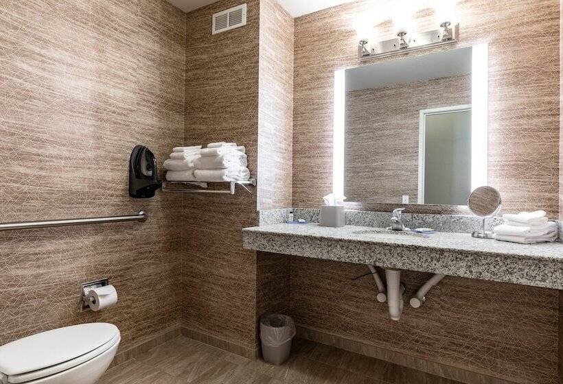 Номер Стандарт Адаптированный для Инвалидов, Holiday Inn Express & Suites Ironton, An Ihg