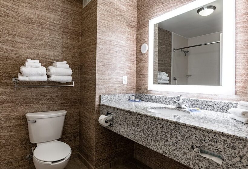 Люкс, Holiday Inn Express & Suites Ironton, An Ihg