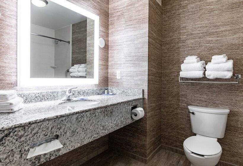 Люкс Адаптированный для Инвалидов, Holiday Inn Express & Suites Ironton, An Ihg