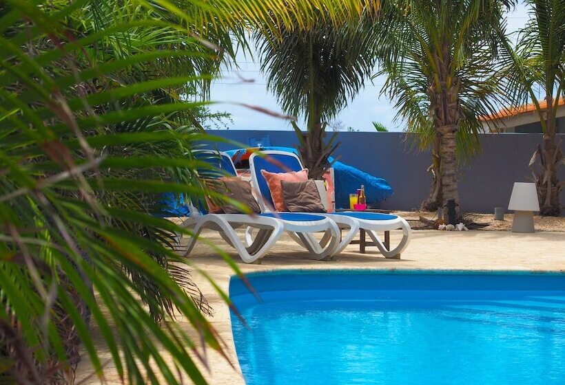 سوییت سوپریور, Oasis Guesthouse, Boutique Style