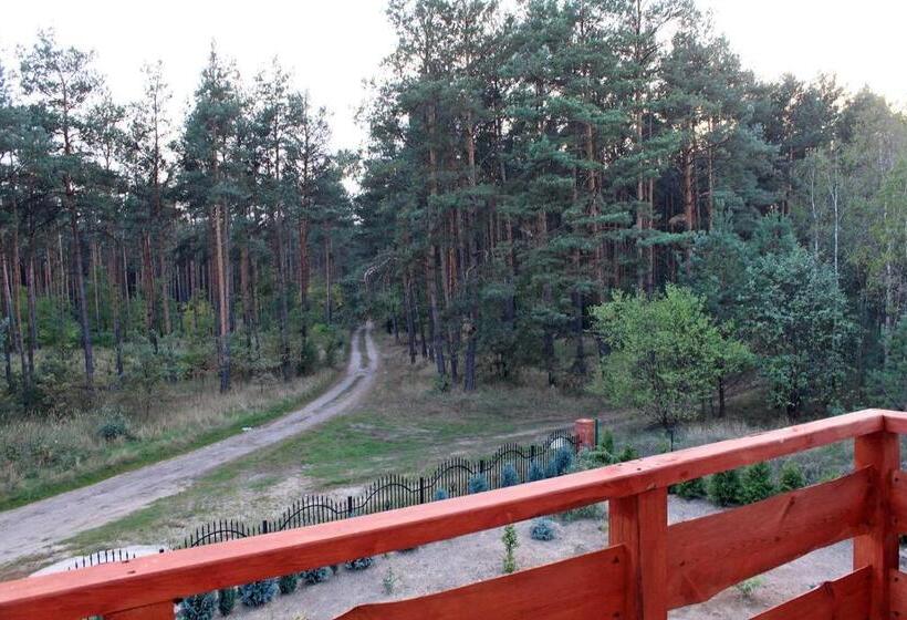 バルコニー付きスタンダードルーム, Noclegi Pod Dębem, Pulandia Brzózki