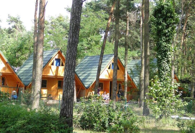 Шале 1 Спальня, Sławska Poręba