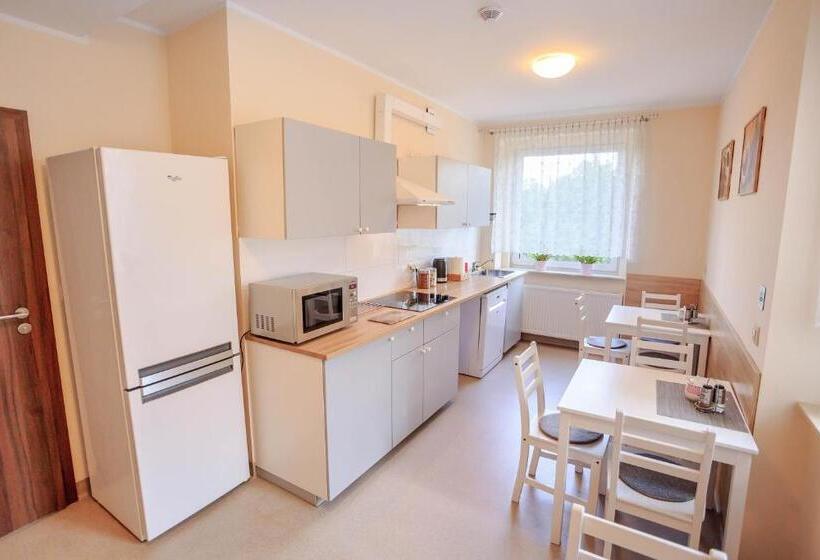 Номер Стандарт Четырехместный Совместный Санузел, Botanik Hostel
