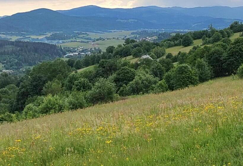 Вилла 4 Спальни, Villove Domy Spa